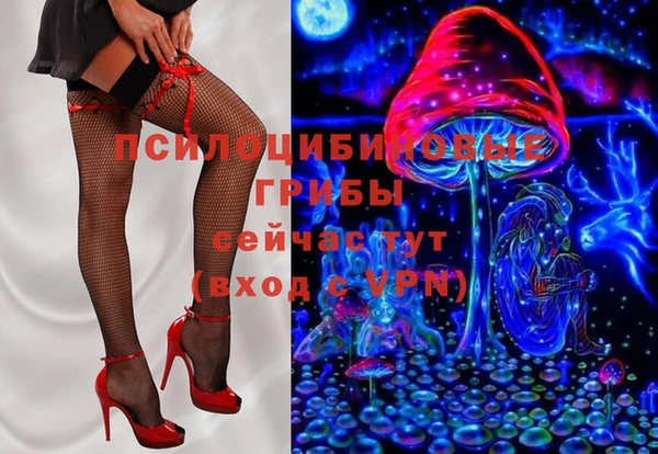 не бодяженный Алексин