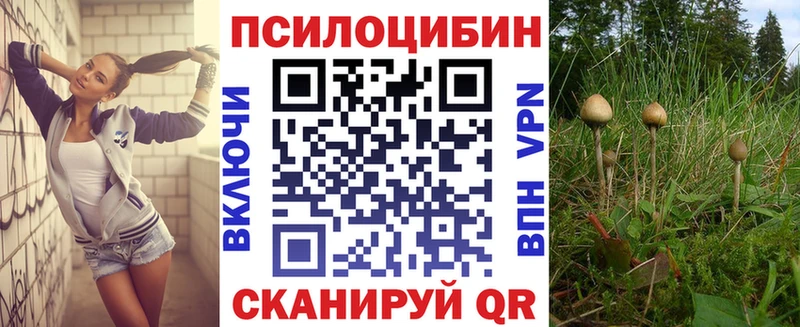 закладки  Зуевка  Галлюциногенные грибы GOLDEN TEACHER 